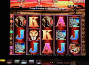 新普京com电脑免费版