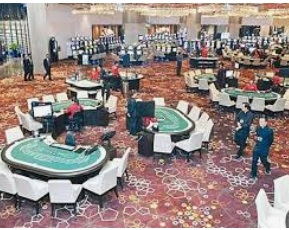 新普京com正式版