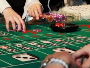 新普京com2024最新版